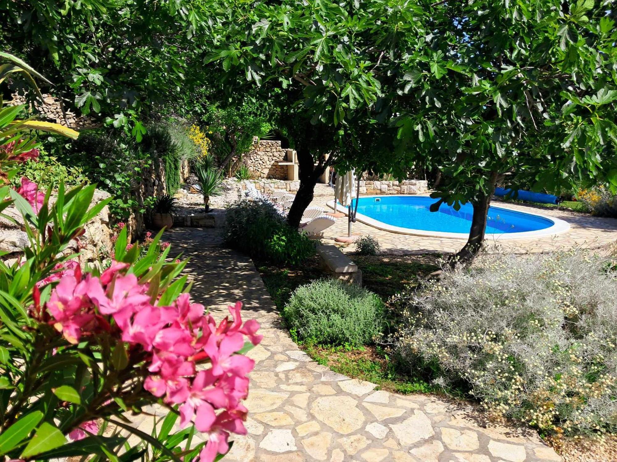 Villa Cesarica Novalja Kültér fotó